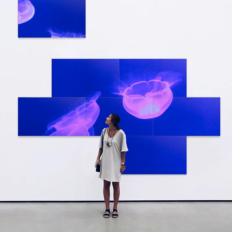 VIDEOWALL VHC-E