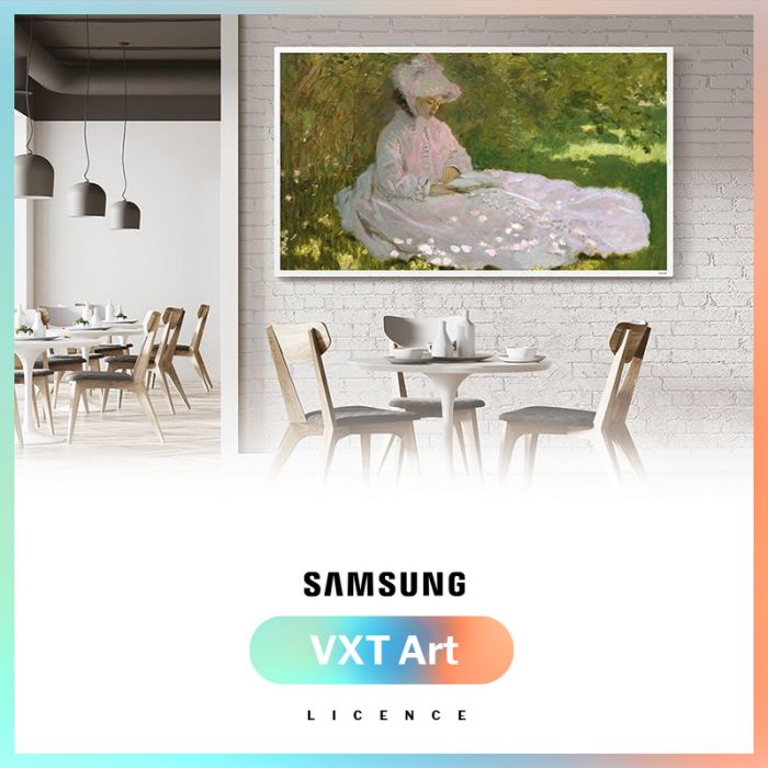 Licenza Art annuale - VXT ART