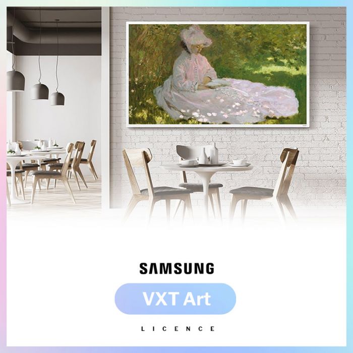 Licenza Art annuale - VXT ART
